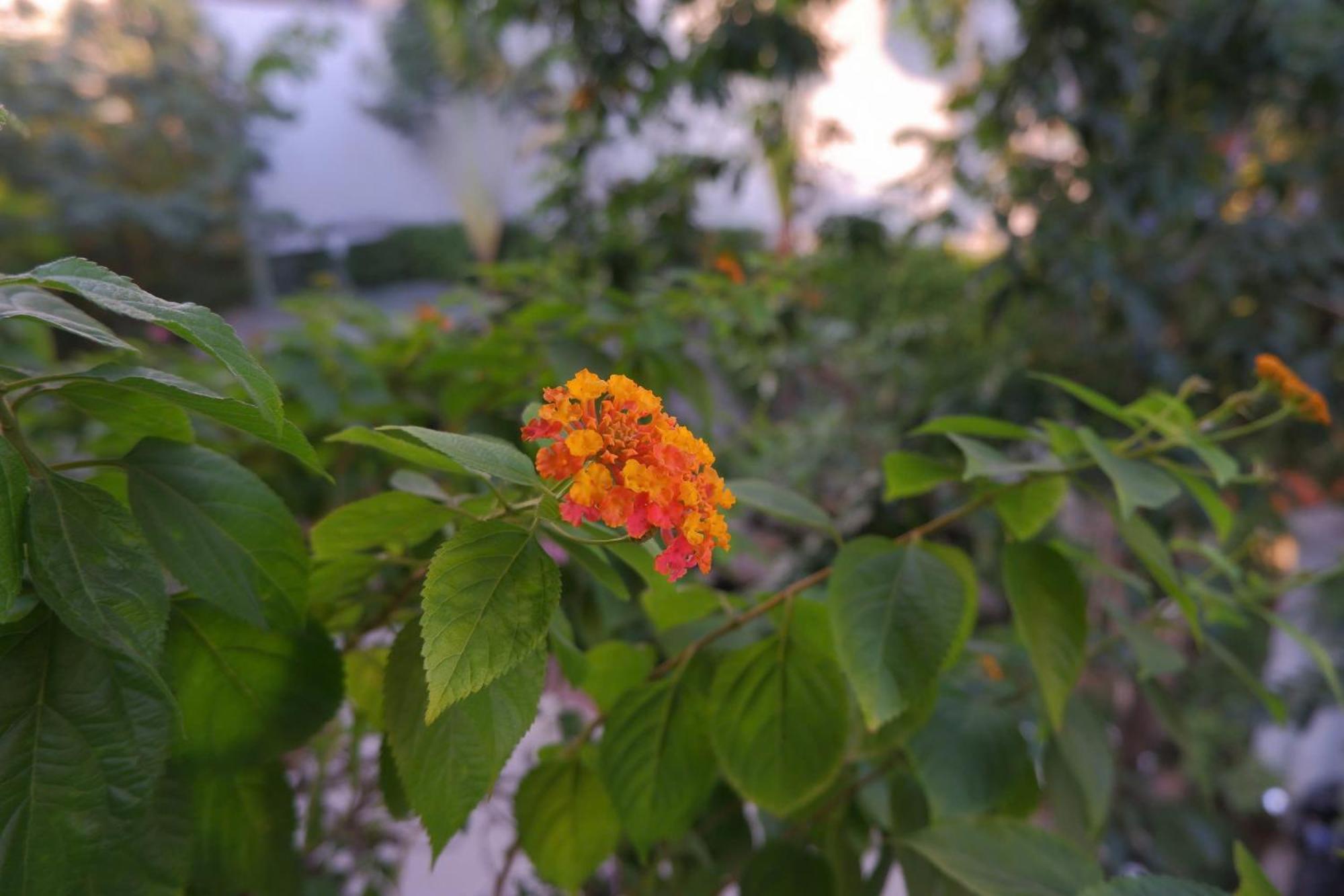 Tuong VI Hotel Hai Phong Esterno foto